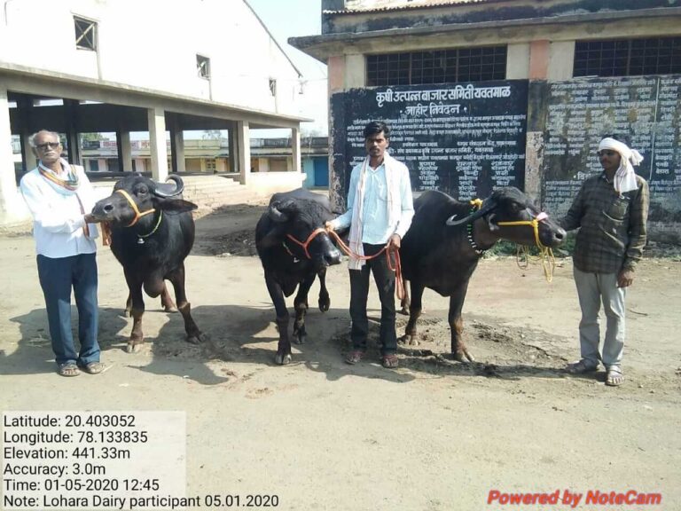 IMG-20200105-WA0036 (1)