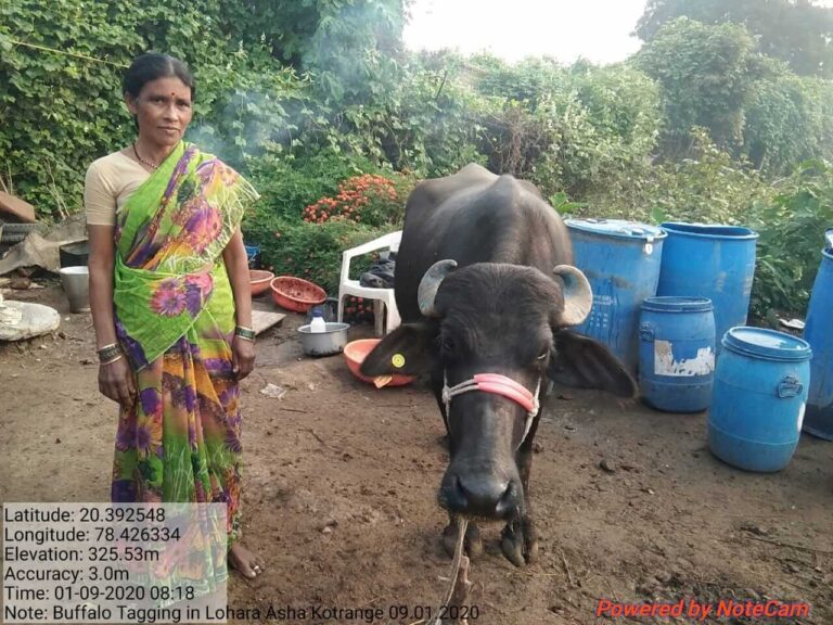 IMG-20200109-WA0027 (1)