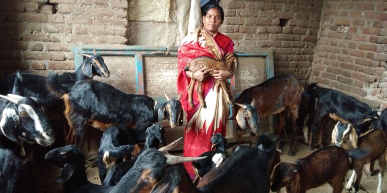 IMG_20180210_131008 (1)